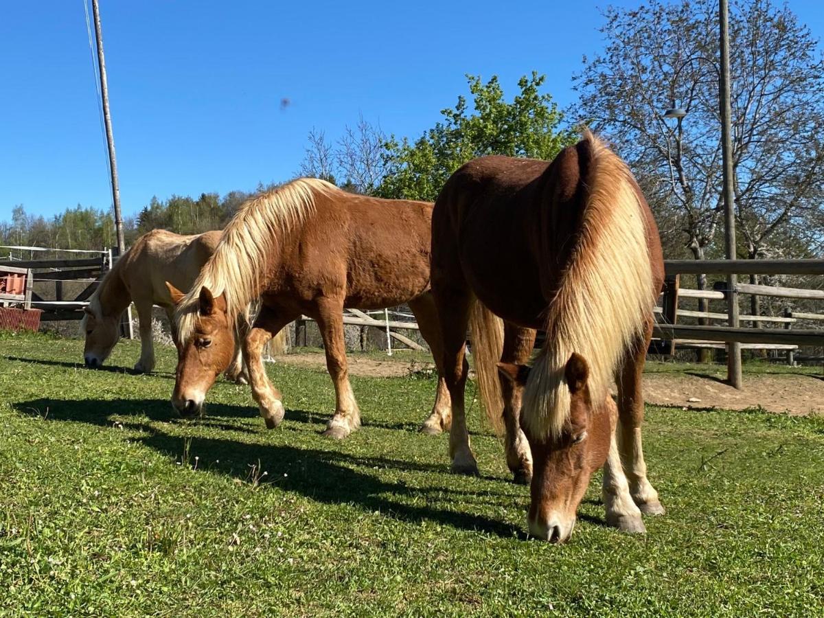 Ranch Enbruca Daire Boves Dış mekan fotoğraf
