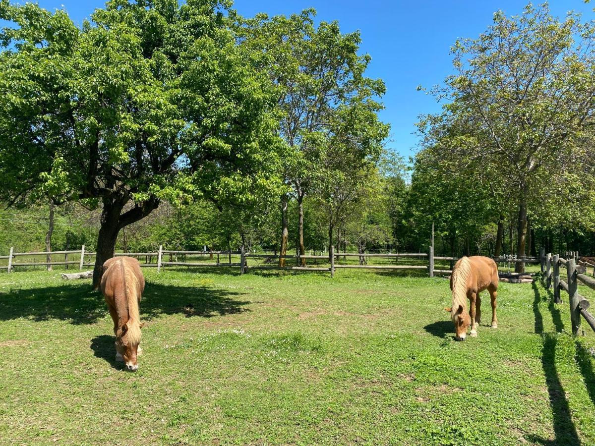 Ranch Enbruca Daire Boves Dış mekan fotoğraf